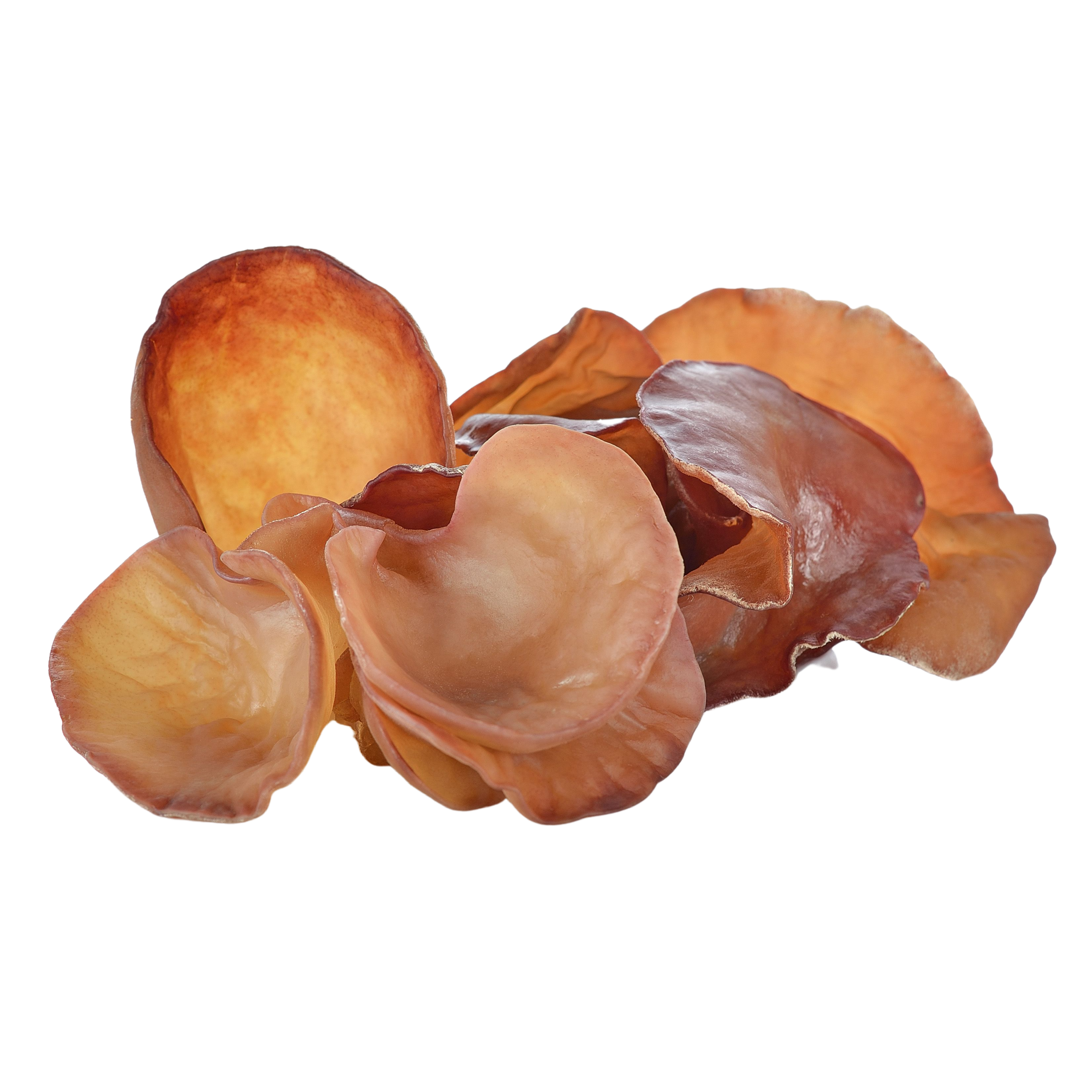 Ekologiški Ausiagrybio (Auricularia auricula) - džiovinto grybo milteliai