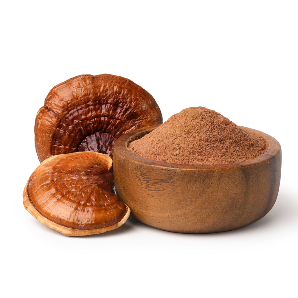 Ekologiški Reishi (ganoderma) - džiovinti grybų milteliai