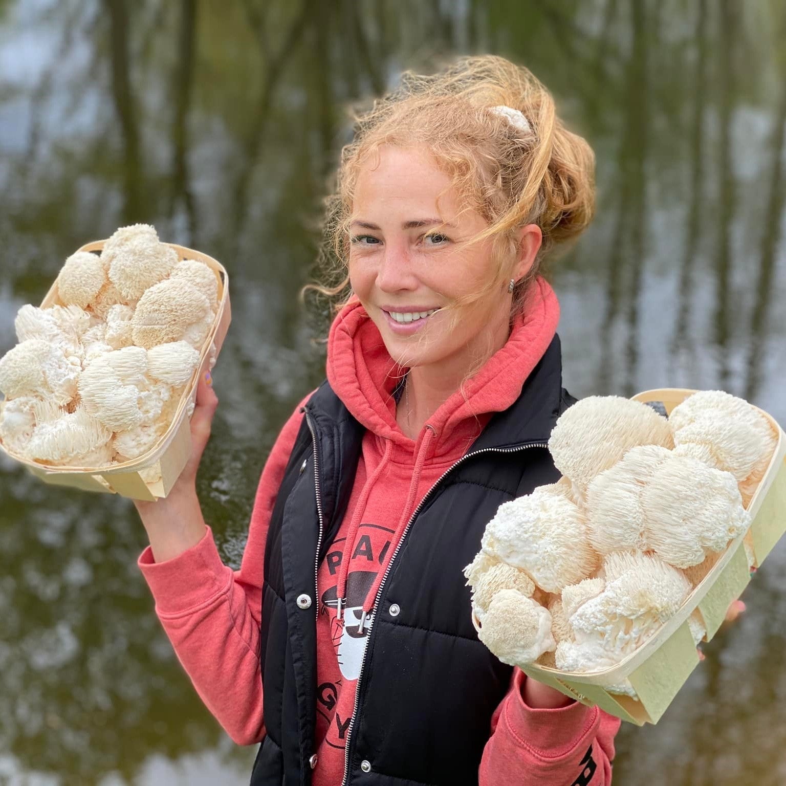 Svaigas Lion's Mane sēnes